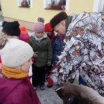 phoca_thumb_m_001 54 Fotogalerie